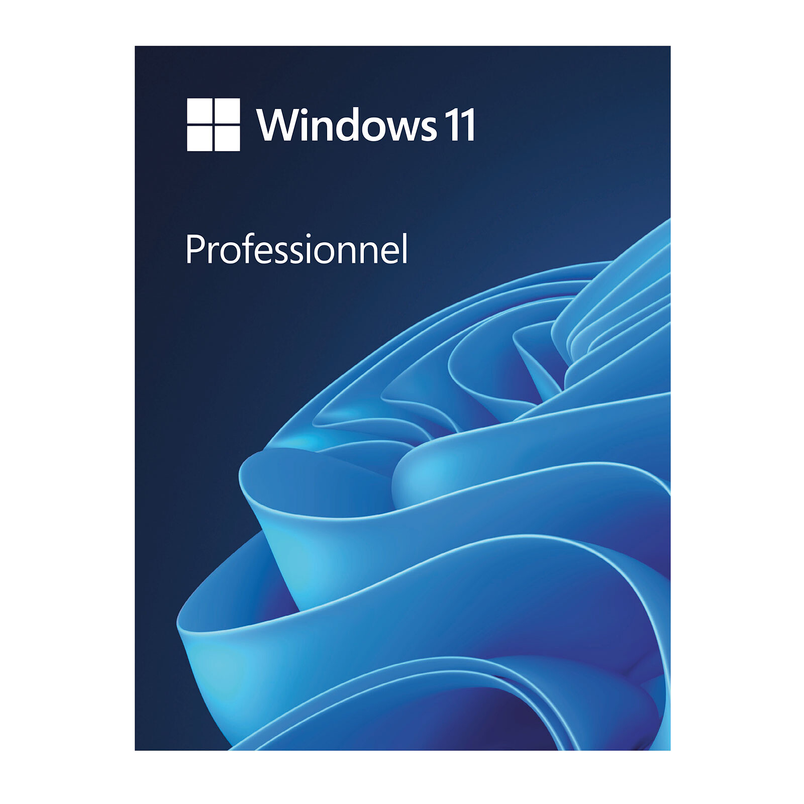 Microsoft Windows 11 Pro For Workstation 64-bit - OEM (DVD)