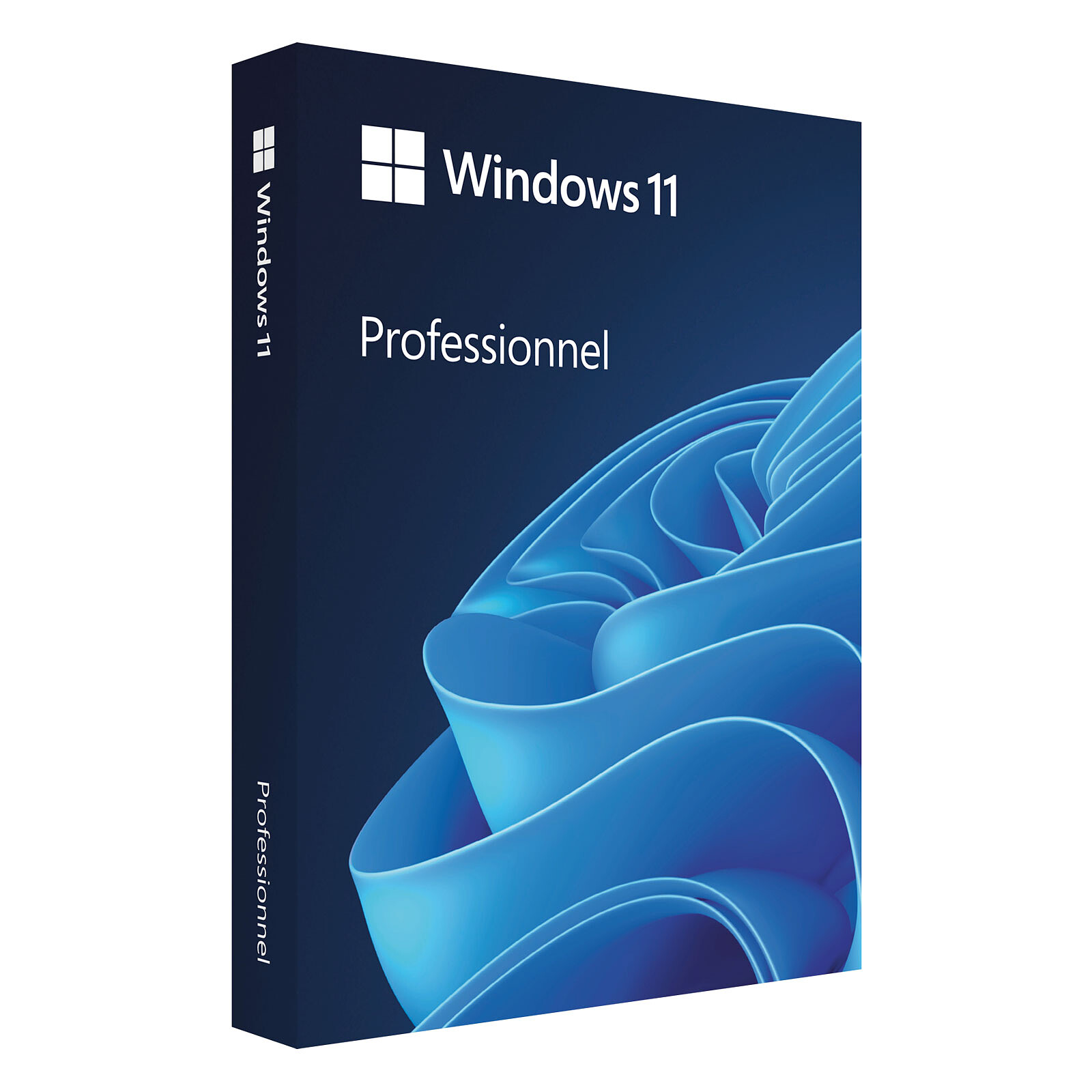 Microsoft Windows 11 Pro For Workstation 64-bit - OEM (DVD)
