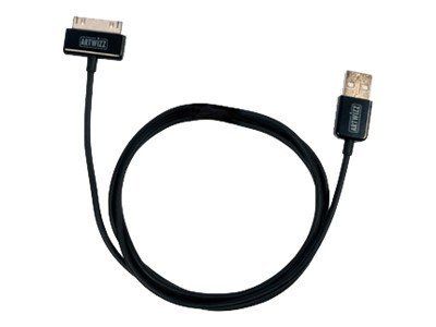 Câble de chargement/données Artwizz - Dock Apple mâle vers USB mâle - Noir