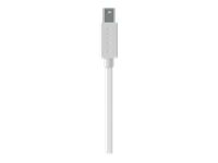 Belkin 25m Multimode Fiber Optic Cable LC/PC (M) - Orange
