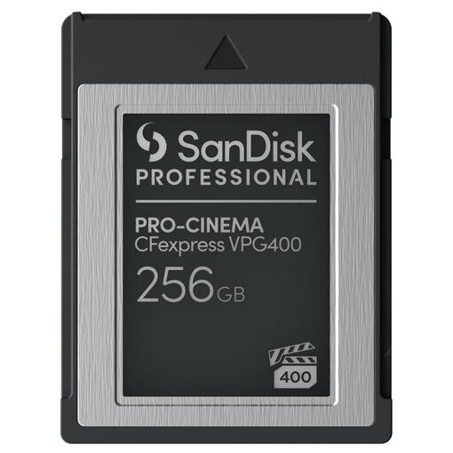 SanDisk Professional CFexpress Memory Card - 256GB - Type B - Black