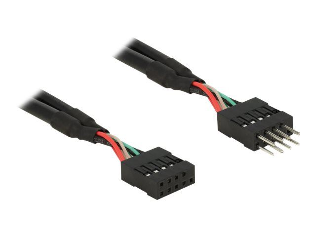 Cable interno Delock USB 2.0 - 25 cm Negro