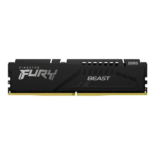 Módulo de memoria Kingston FURY Beast DDR5 de 32 GB (5600 MT/s, PC5-44800, CL36, 1.25 V, ECC integrado en la puce)