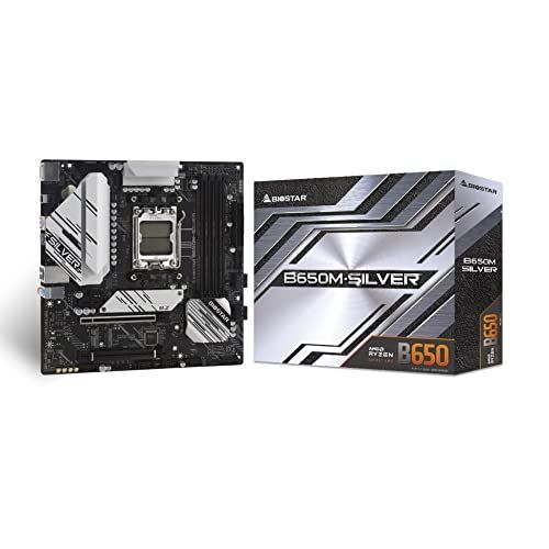 Carte mère Biostar B650M-SILVER Socket AM5