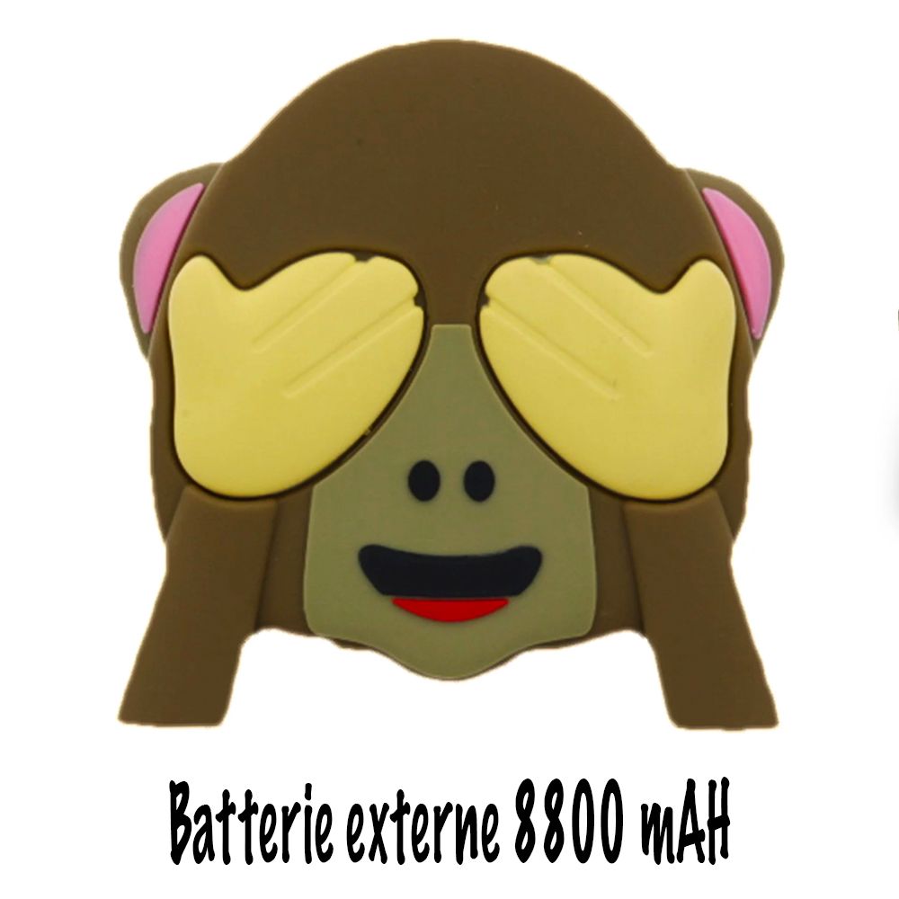 Batterie externe Kabiloo - 8800 mAh de grande capacité pour iPhone et autres smartphones