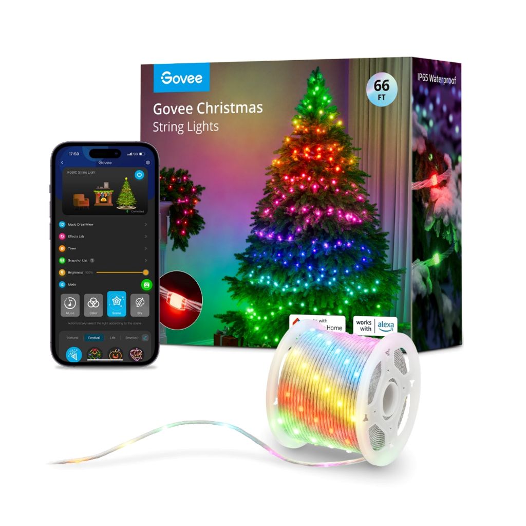 Govee Christmas Lights - 10ft