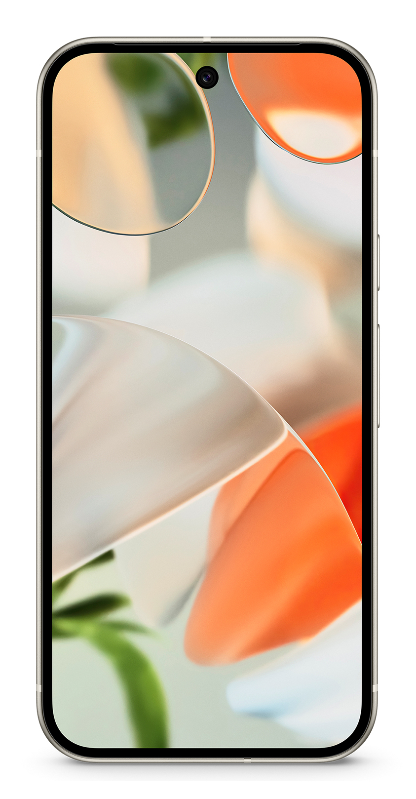 Google Pixel 9 Porcelain 128GB