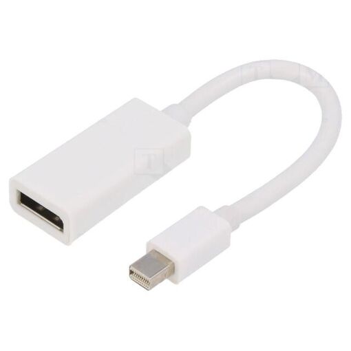 ADNAuto DisplayPort 1.1 Adapter - Female to Mini DisplayPort Male, Full HD, 0.15m, White