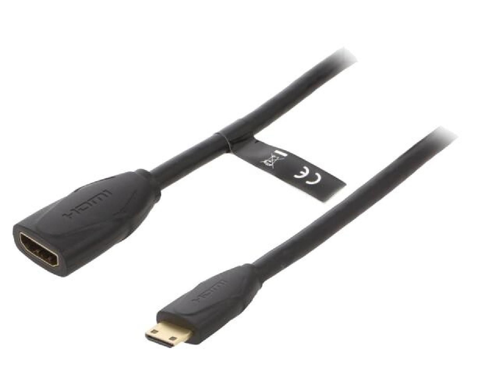 ADNAuto HDMI 1.4 Female to Mini HDMI Male Cable, 1m