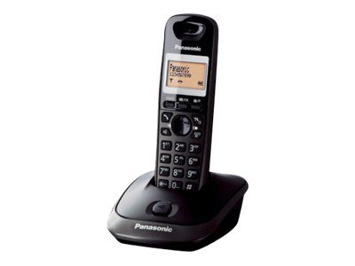 Panasonic Cordless Phone with Caller ID - KX-TG2511PDM