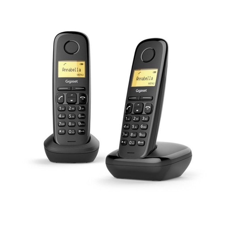 Siemens Gigaset A170 Duo Cordless Phone