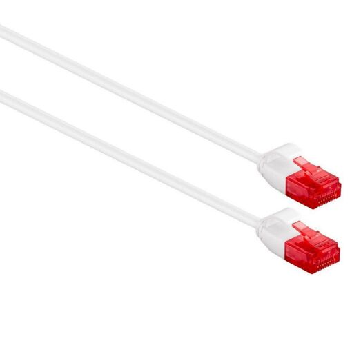 Cable Ewent Cat6 RJ45 UTP (2 metros)