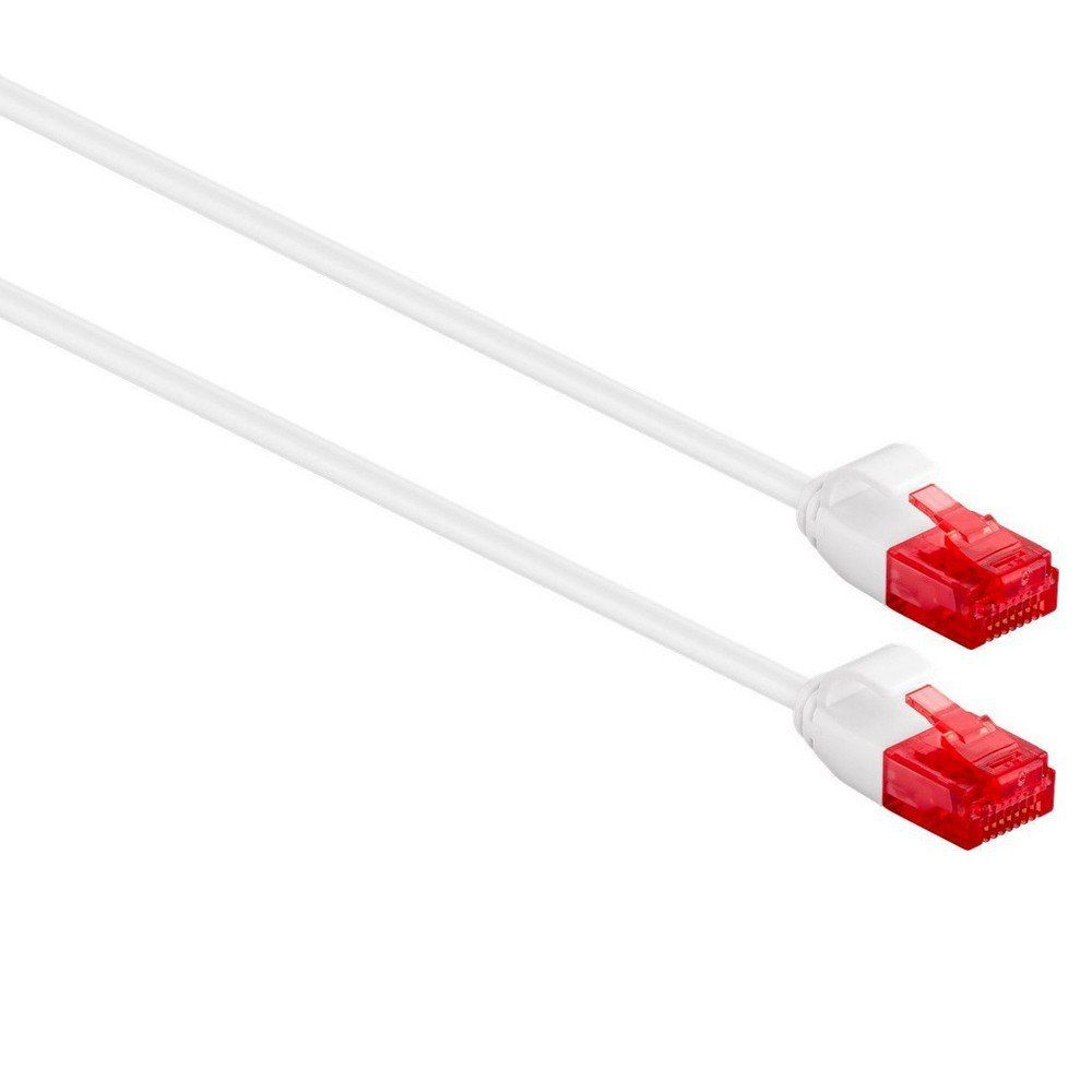 Ewent Cat6 RJ45 UTP Cable (2m)