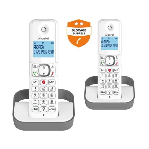 Alcatel Classic F860 Duo - Téléphone sans fil avec identifiant de l'appelant - Conversation téléphonique à trois voies - Gris + Combiné supplémentaire