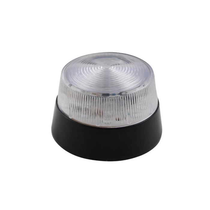 Perel LED Flashlight - Transparent - 12VCC - 77mm Diameter