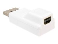 DeLOCK DisplayPort Adapter - White