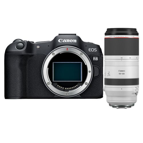 Canon EOS R8 Mirrorless Camera + RF 100-500mm f/4.5-7.1 L IS USM Lens
