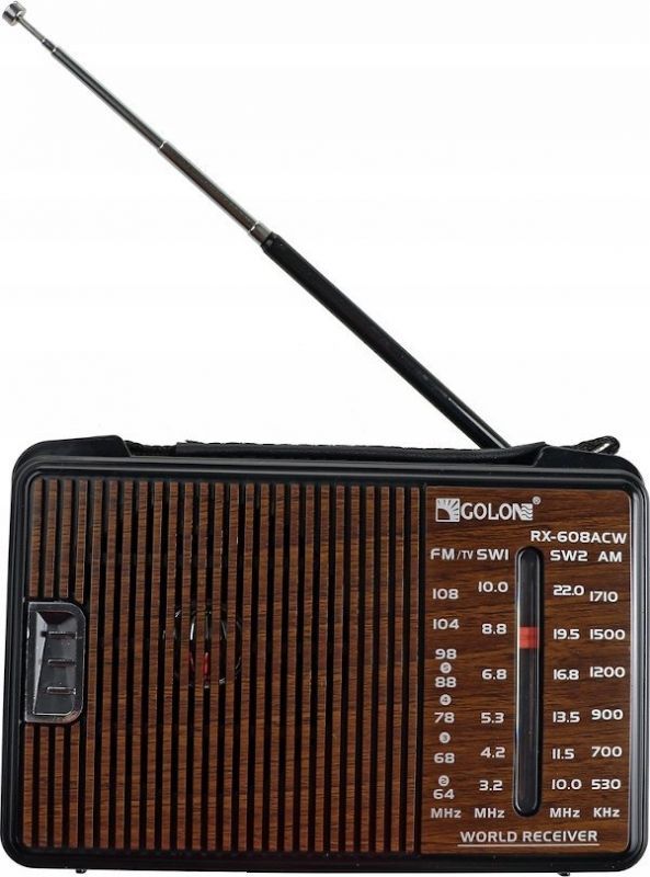Tiross Battery-Powered Radio TS462
