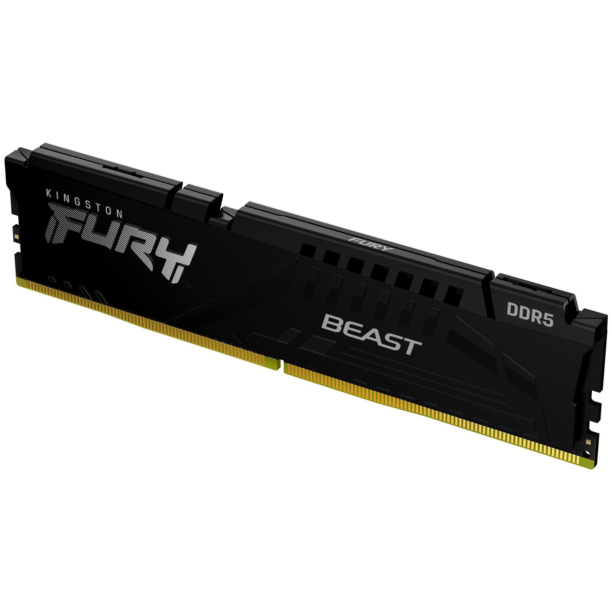 Kingston Technology FURY Beast 32 Go 6000 MT/s DDR5 CL30 DIMM Black EXPO