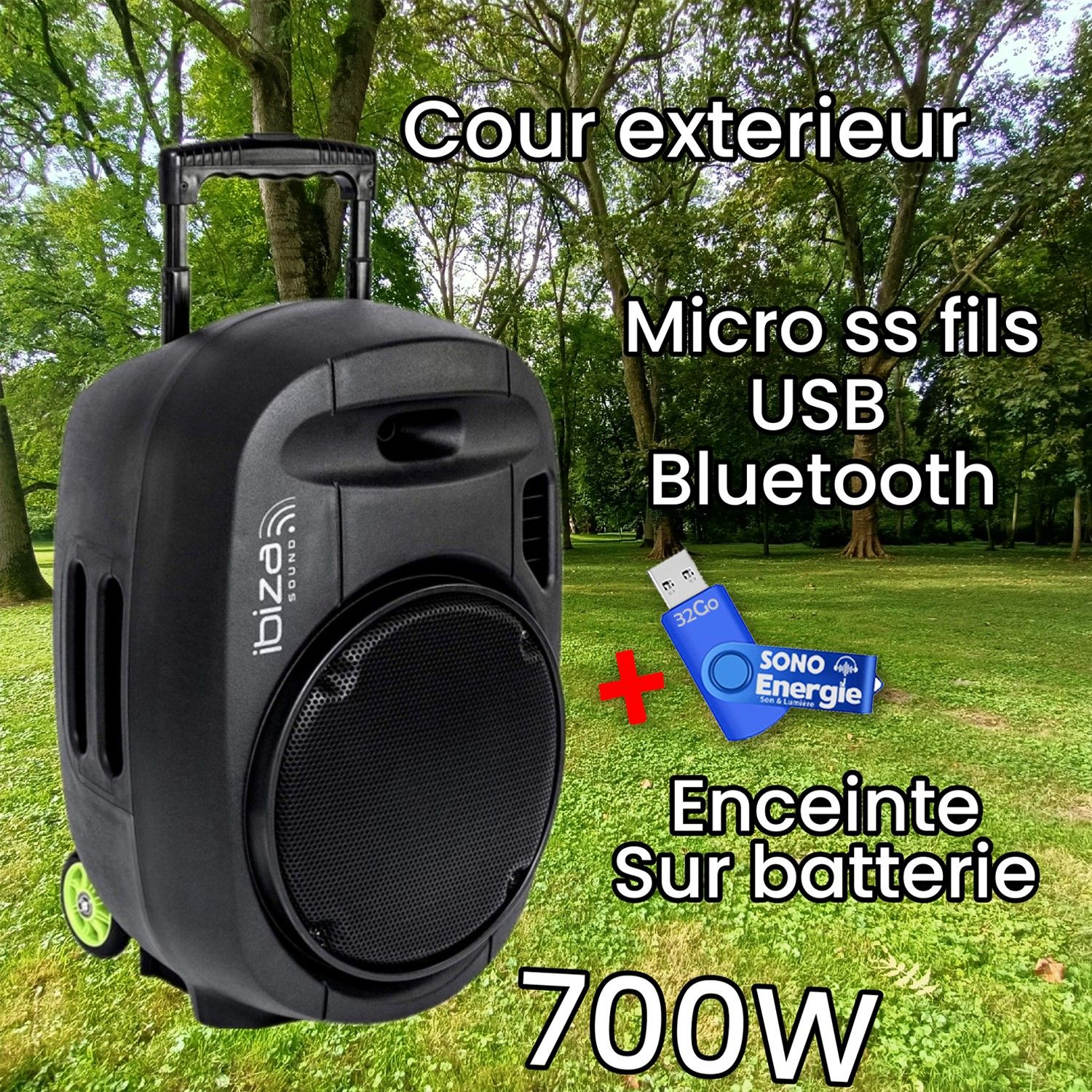 Système de sonorisation portable Ibiza Sound 12'' - 700W USB/MP3/Bluetooth/Vox + 2 micros sans fil VHF + clé USB 32G