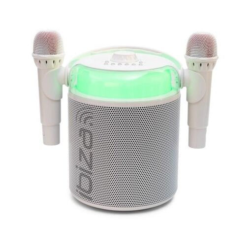 Ibiza KARAHOME-WH Karaoke Kit