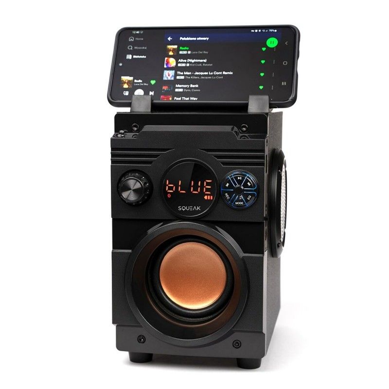 Squeak SQ1001 Bluetooth Portable Speakers - Black 20W
