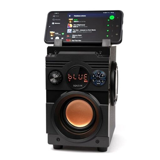 Squeak SQ1001 Bluetooth Portable Speakers - Black 20W