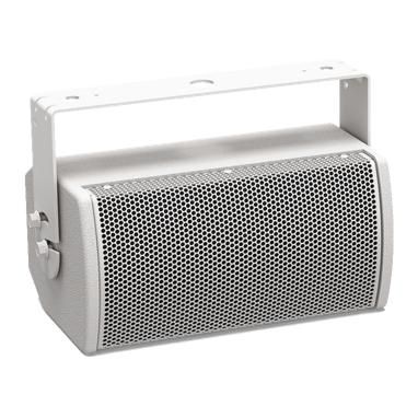 Bose AMU105 100W Speaker