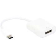 ITC Erard Connect Video Connector 722479 (USB-C Male to DisplayPort Female)