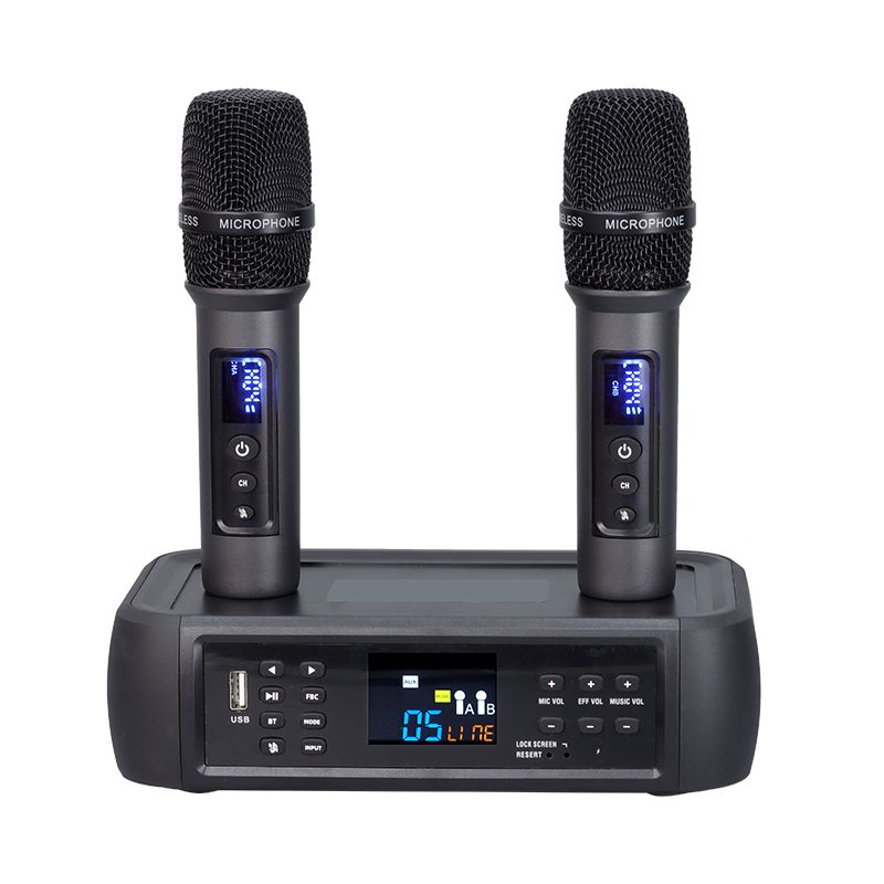 Wireless Microphone Set with DSP Anti-Larsen Technology - Black