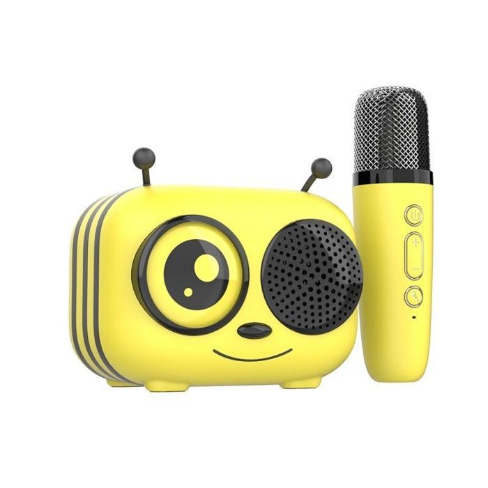 Altavoz Bluetooth karaoke Maya con micrófono inalámbrico - CGV