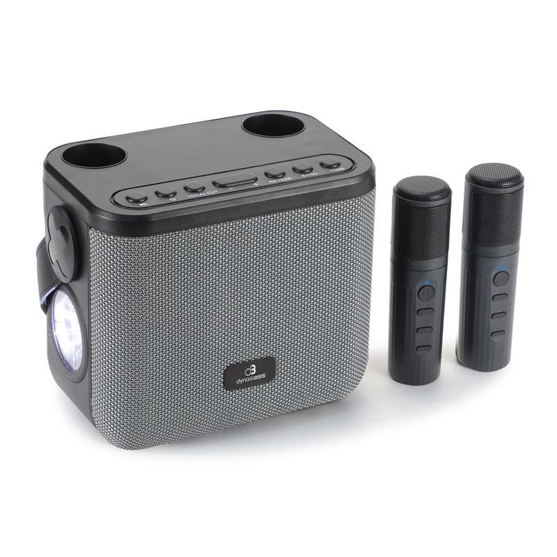 Dynabass DBE50 Grey Karaoke Speaker