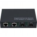 Dexlan Switch 2 Giga Sfp + 2 Gigalan 10/100/1000