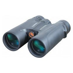 Celestron 10x42 Binoculars