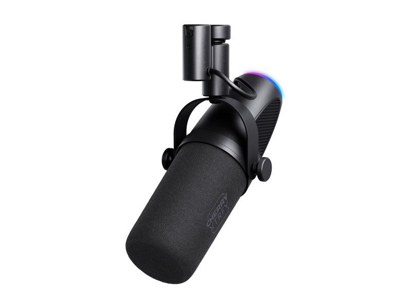 Cherry Ngale X Microphone