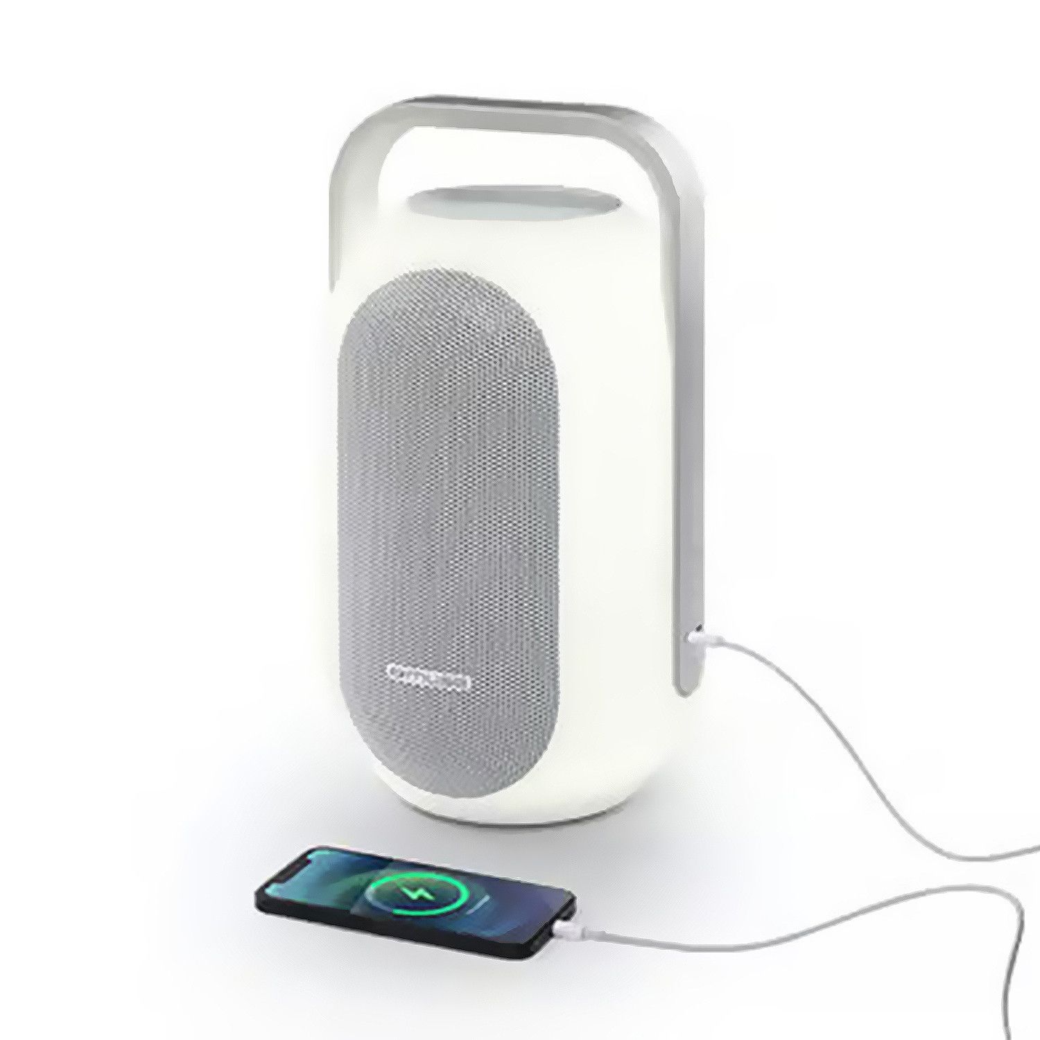 Pickering 60W Bluetooth Speaker with Colorful Lights and Hands-Free Calling