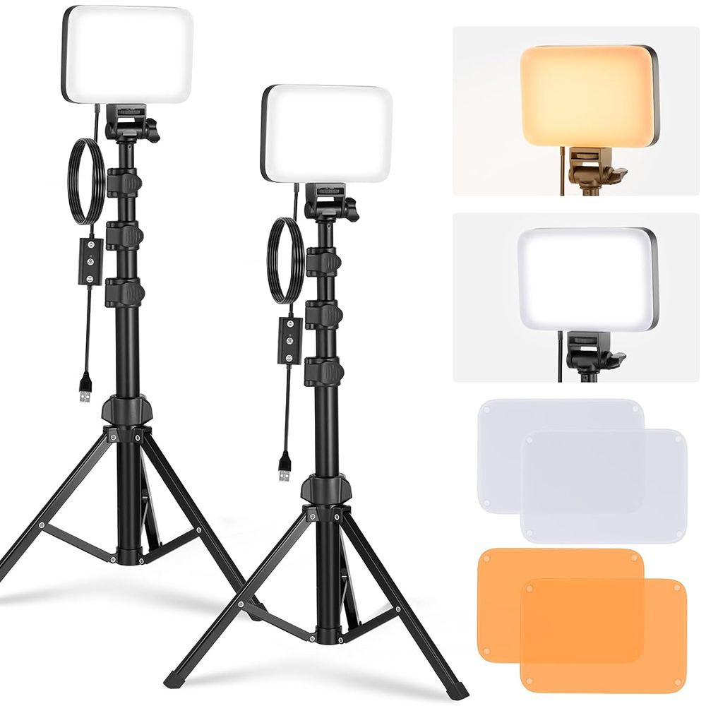 Neewer Variable LED Video Light Kit (2 Lights with Stands and Filters)