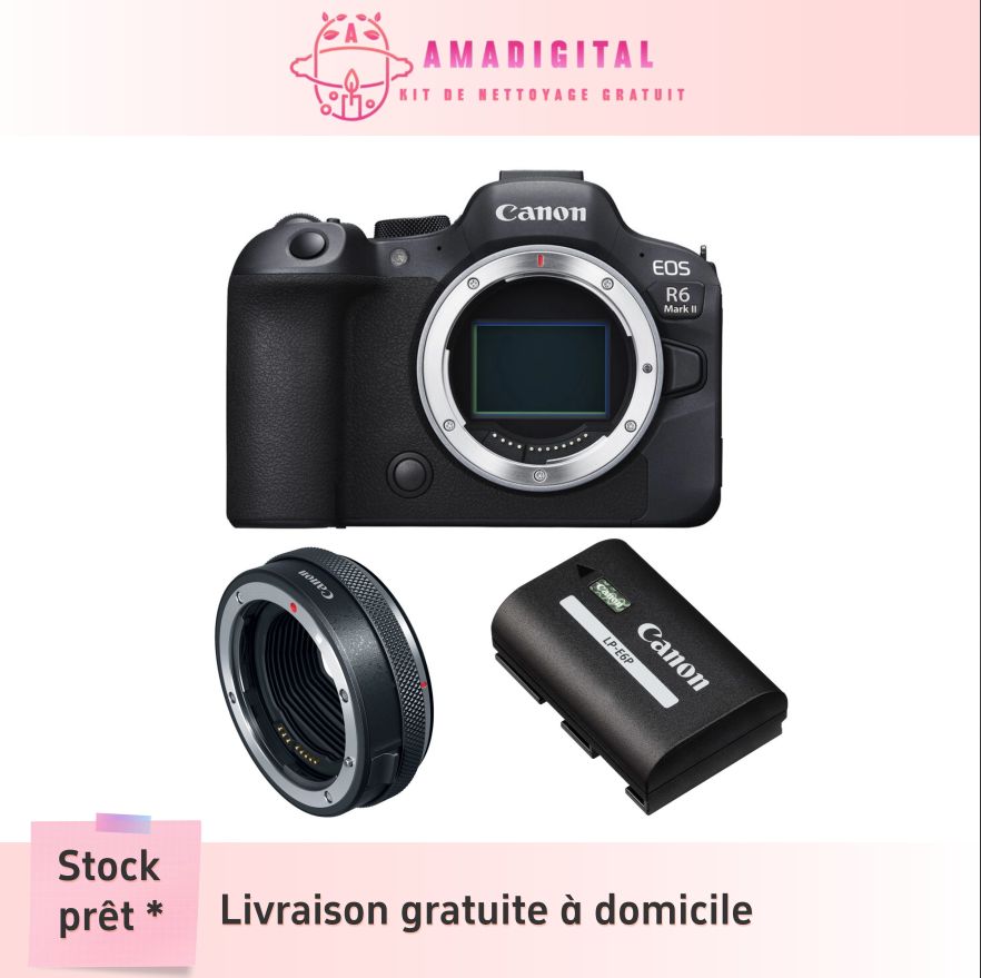 Cámara Canon EOS R6 Mark II 24MP con adaptador de montaje EF-EOS R y batería LP-E6P