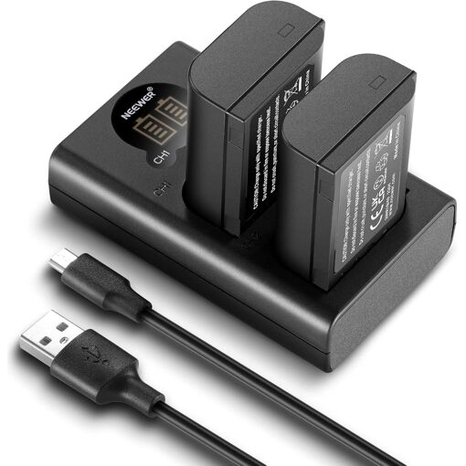 Kit de 2 baterías recargables Neewer DMW-BLK22 de 2400 mAh + cargador USB tipo C de doble canal compatible con Panasonic Lumix DC-S5, DC-S5 II, DC-S5 IIX, GH5 II, GH6