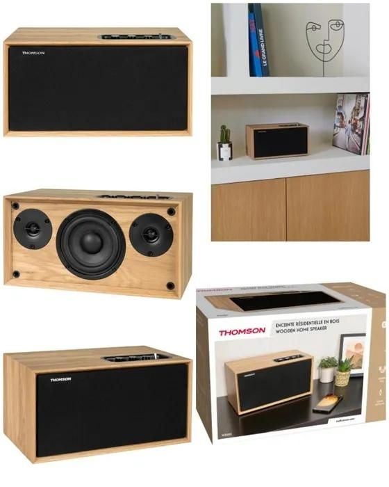Thomson Vintage Bluetooth Speaker WS502 - 100W Wood