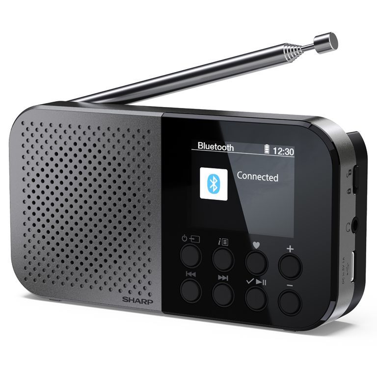 Sharp Digital Radio DR-P520