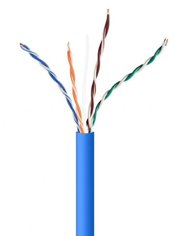 Gembird Cat5e Network Cable, Blue, 305ft (U/UTP)