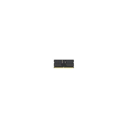 Módulo de memoria Lexar 16GB DDR5 4800MHz ECC (LD5DS016G-B4800GSST)
