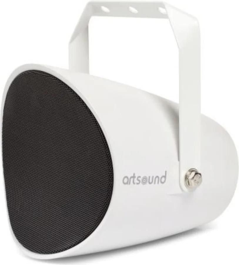ArtSound PSW525 100V 2-Way Speaker
