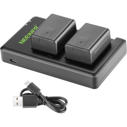 Batería Neewer de 1950 mAh (paquete de 2) con cargador USB doble compatible con modelos Panasonic HC