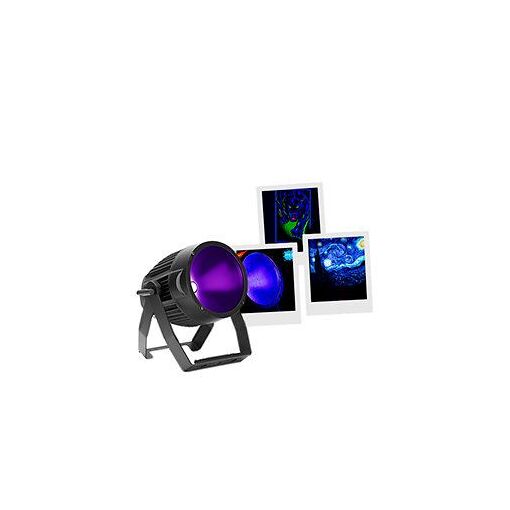 Éclairage LED American Dj UV PAR 100IP