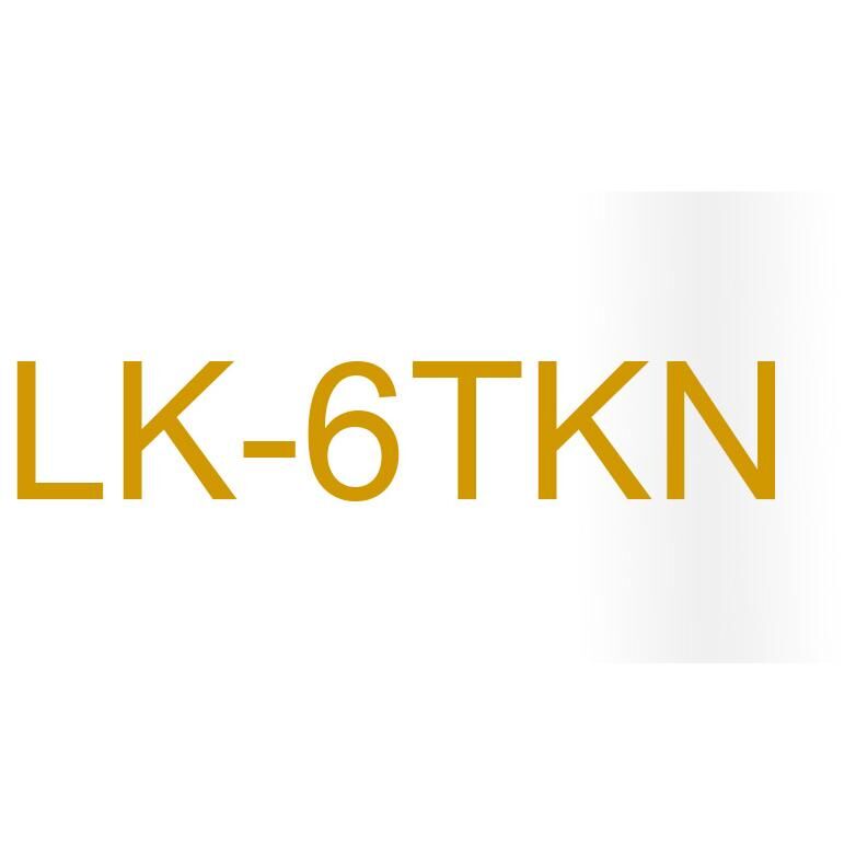 Epson LK-6TKN Étiqueteur de labels or et transparent
