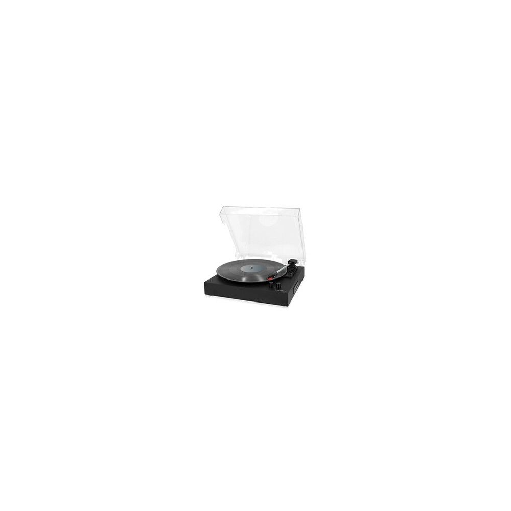 Swingson TT202G Vinyl Platter