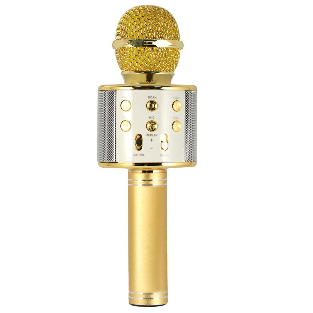 Xtreme Hollywood Karaoke Microphone