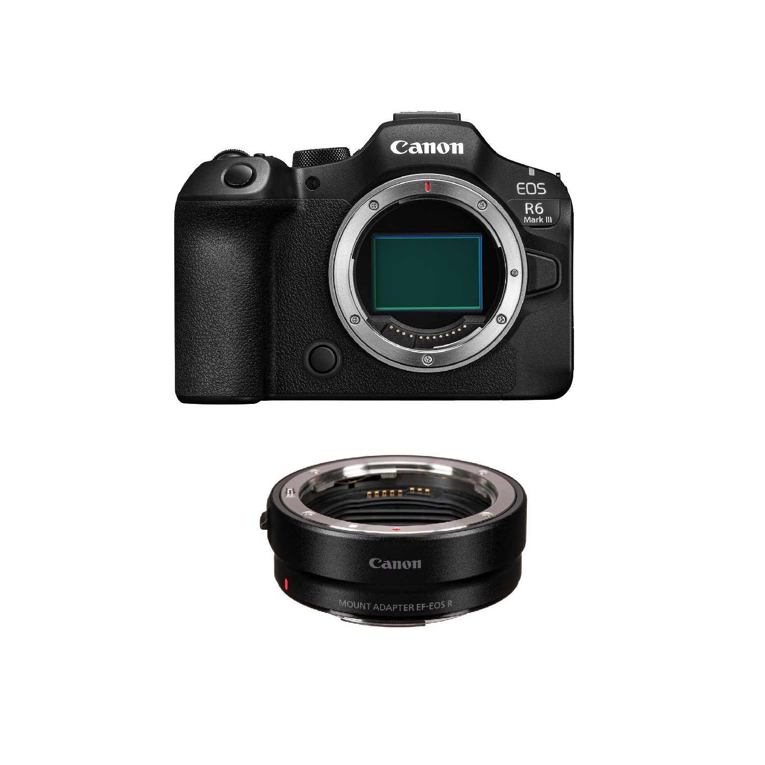 Canon EOS R6 III 32.5MP + Canon EF-EOS R Adapter